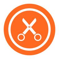 Scissors N14