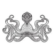 Doodle sketch octopus black line N2