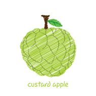 custard apple design