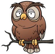 owl N45