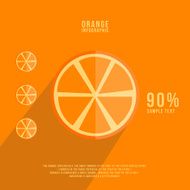 fruits vector illustration orange infographics