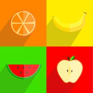 fruits vector illustration