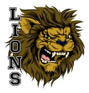 Lions Sports Mascot N2