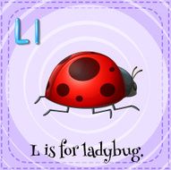 Ladybug N8