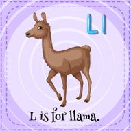 Illama