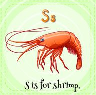 Shrimp N3