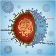 Blue virus cells or bacteria on background Vector illustration