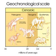 Geochronological scale Part 5 - Cenozoic Eon