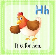 Letter H N24