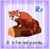 Red Panda N2