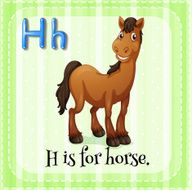 Horse N24