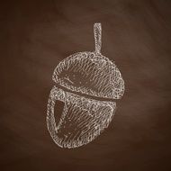 Acorn Icon N4