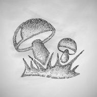 mushrooms icon