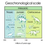 Geochronological scale Part 4 - Mesozoic Eon