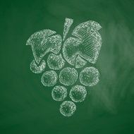 Grapes Icon N4