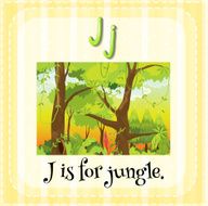 jungle N3