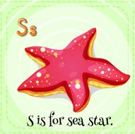Sea star N2