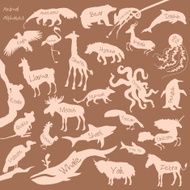 Animal alphabet poster for children Animals silhouettes with names and N3