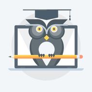Owl flat style colorful vector icon