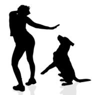 Vector silhouette of a woman N180