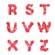 English floral alphabet Bright font letters flowers Vector illustration