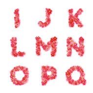 English floral alphabet Bright font letters flowers Vector illustration N2