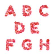 English floral alphabet Bright font letters flowers Vector illustration N3