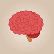 Brain Illustration N6
