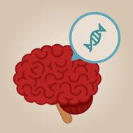 Brain Illustration N11