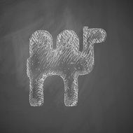 camel icon N3