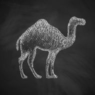 camel icon N4