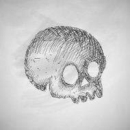 Skull Icon N9