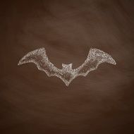bat icon N5