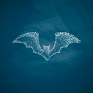 bat icon N6