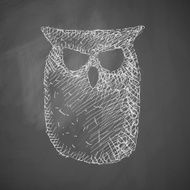 Owl Icon N7