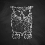 Owl Icon N8