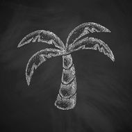 palm icon N4