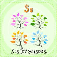 letter s N43