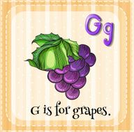 Grapes N2