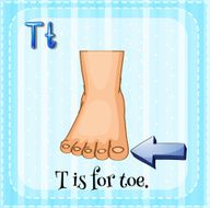 Toe Nail N2