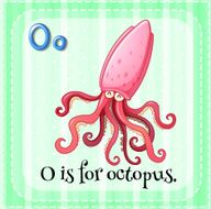 octopus N15