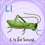 Locust