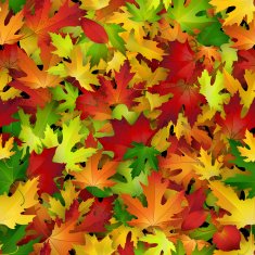 Vector background design with colorful autumn leaves seamless pattern