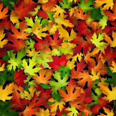 Vector background design with colorful autumn leaves seamless pattern N2