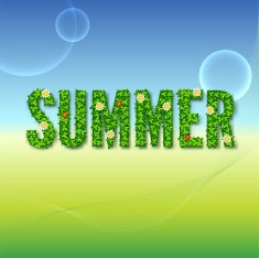 Word Summer with green leaves N2
