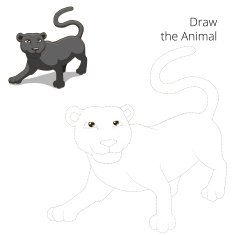 Draw animal panther educational game vector illustration N2