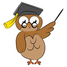 Wise Old Owl N4