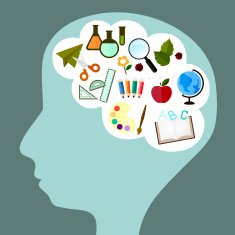 study icon in brain N2