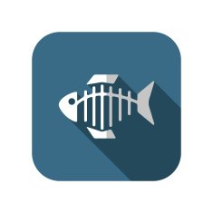 Vector icon of fishbone N11