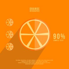 fruits vector illustration orange infographics